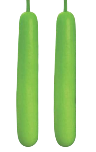 Bottlegourd Vidhata F1 Hybrid