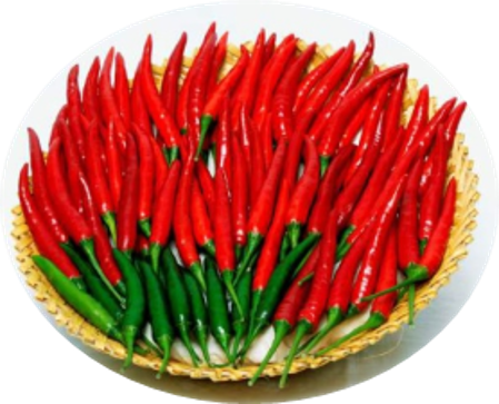 Chillies Vandana