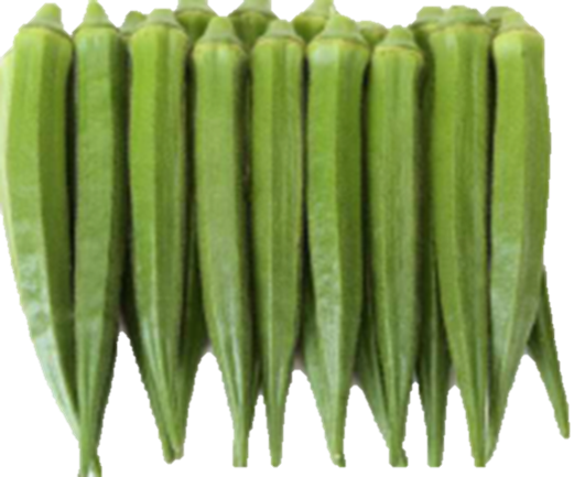 Okra Rachana