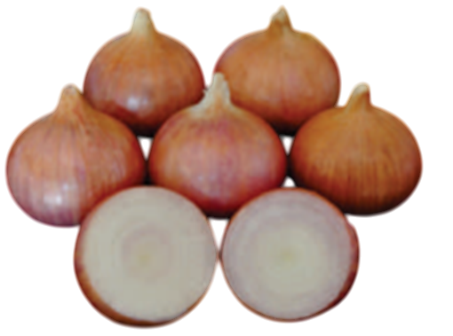 Onion Balwan