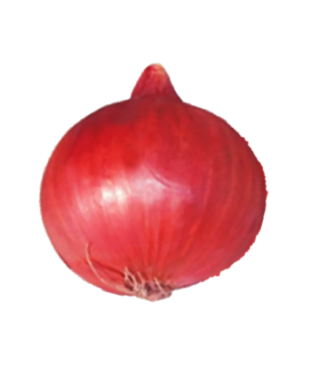 Onion Dhanraj