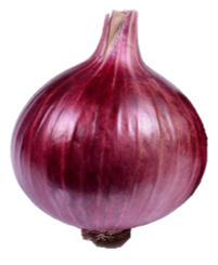 Onion S – 51