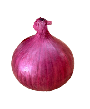 Onion Super King