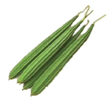 Ridgegourd Aaradhya F1 Hybrid
