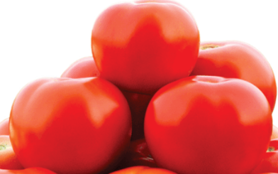 Tomato Apurva F1 Hybrid